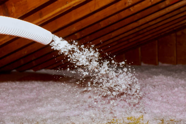 Best Insulation Maintenance and Repair in Waynesboro, MS