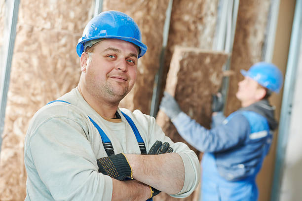 Best Insulation Installation Services in Waynesboro, MS