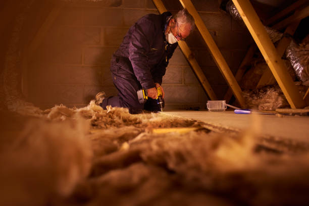 Best Types of Insulation in Waynesboro, MS